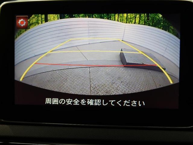 21689790_carP_l_4.jpg
