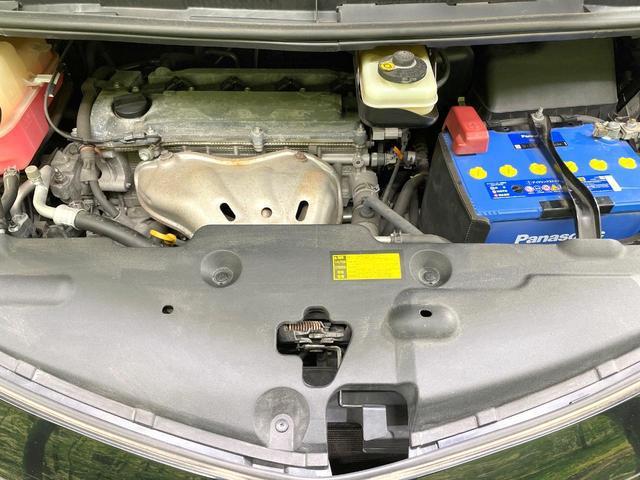 22582847_carP_l_18.jpg