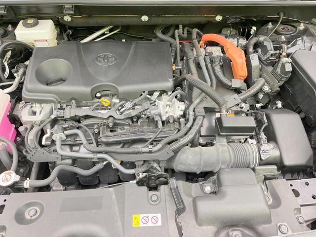 23243855_carP_l_16.jpg