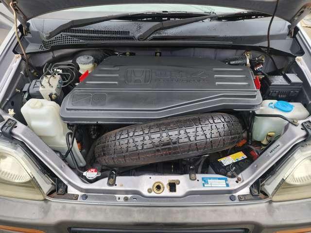 22502621_carP_l_7.jpg