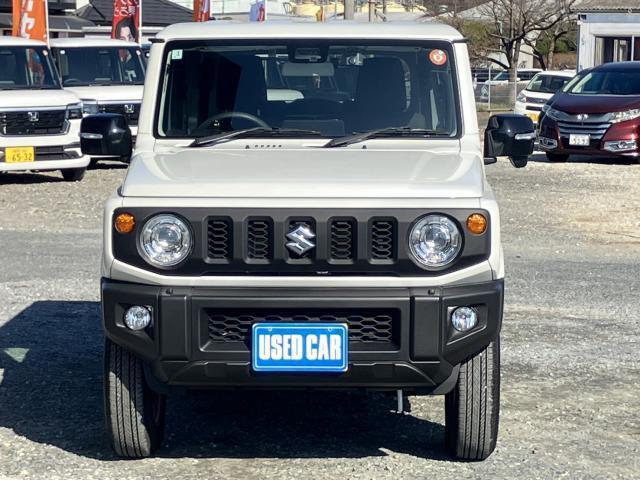 21998866_carP_l_3.jpg