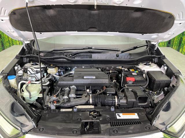 22315757_carP_l_16.jpg