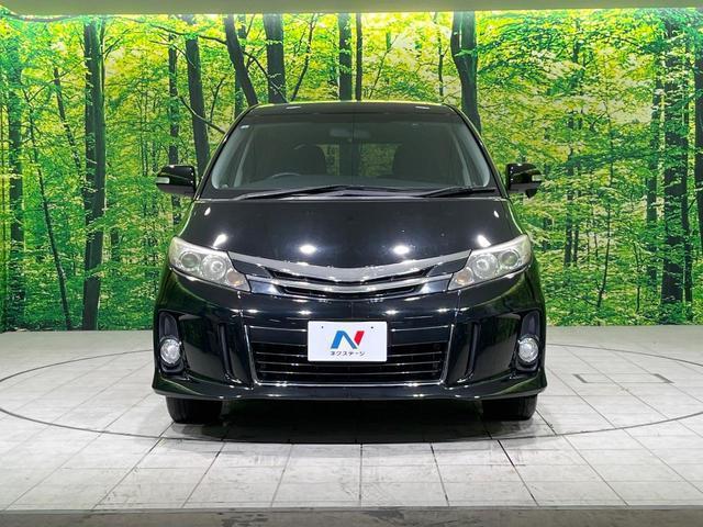 20974488_carP_l_11.jpg