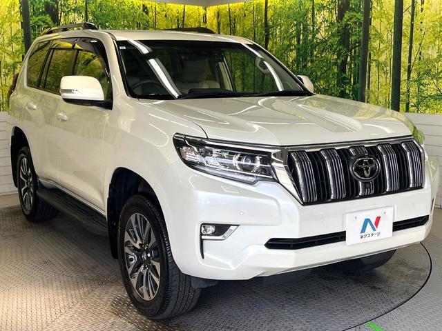 20193233_carP_l_12.jpg