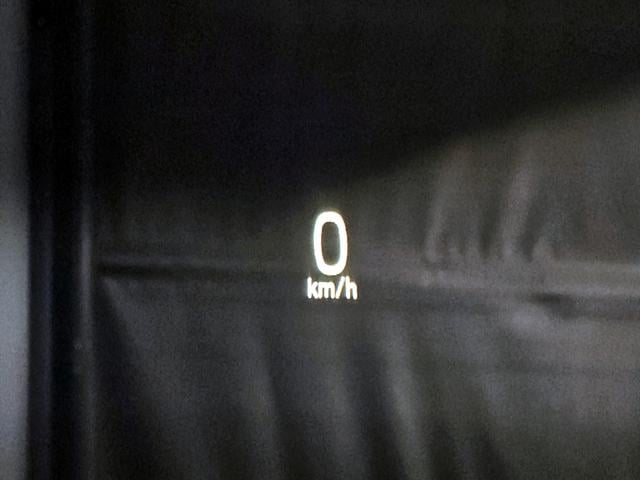 491c70f4132a795328a88de7380f63c8.jpeg