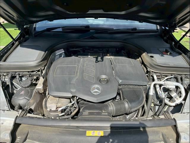 19893578_carP_l_6.jpg