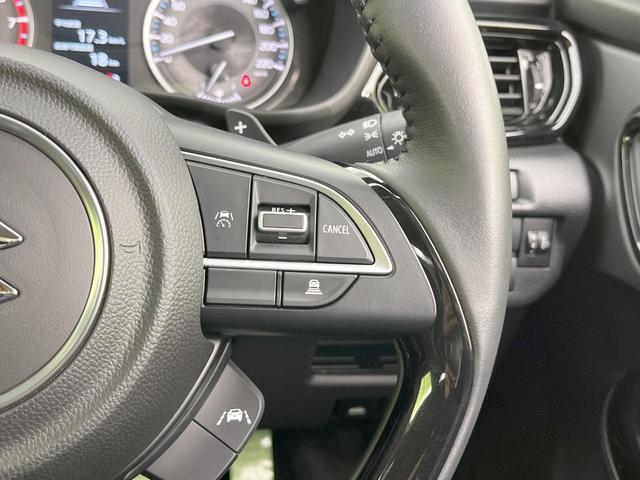 21044467_carP_l_13.jpg