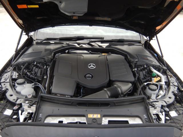 22720731_carP_l_17.jpg