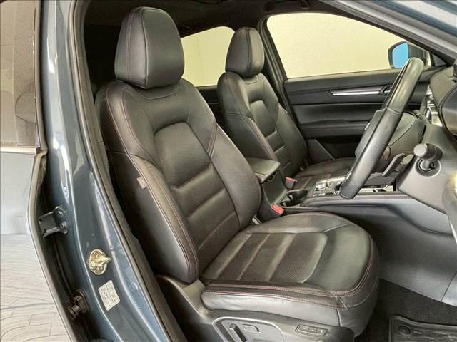 21684462_carP_l_19.jpg