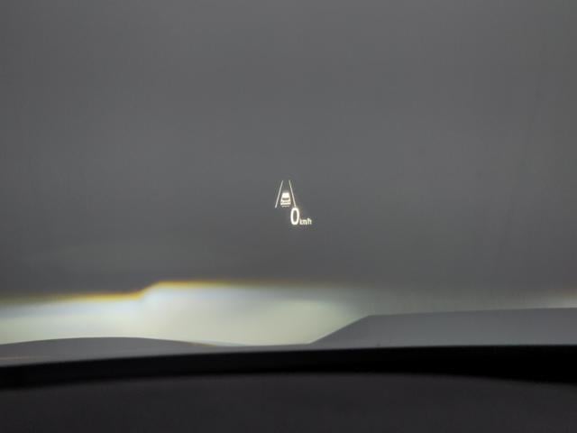 2733d3b233d84582c01dd25b295257d0.jpeg