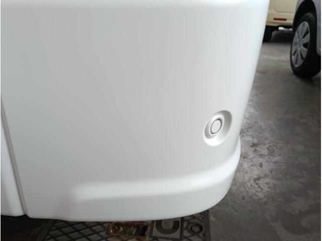 22850476_carP_l_7.jpg