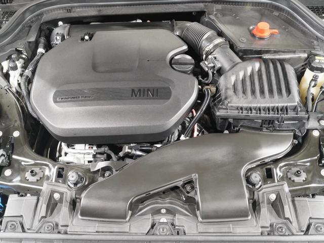 21707042_carP_l_14.jpg