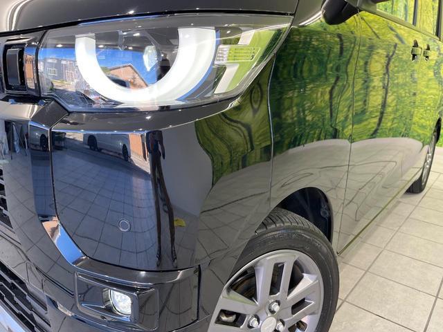 20227521_carP_l_6.jpg