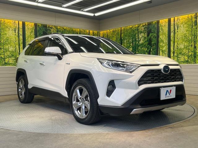 21149274_carP_l_11.jpg