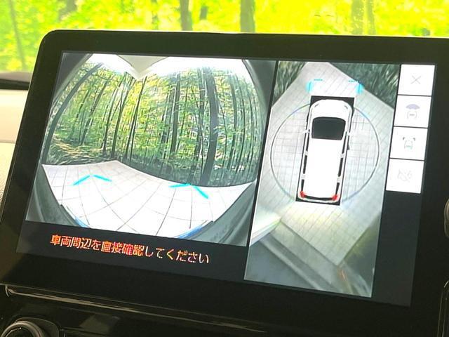 21254410_carP_l_4.jpg
