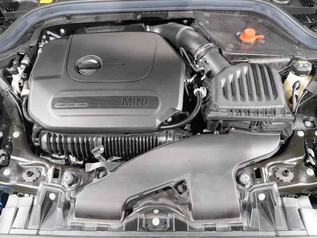 20007754_carP_l_14.jpg