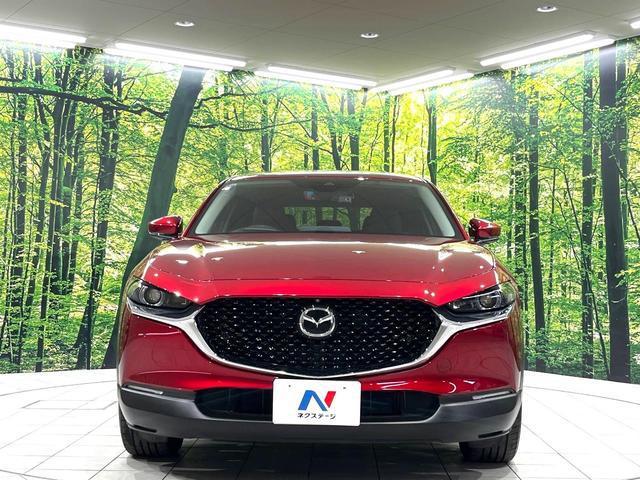 22876189_carP_l_9.jpg