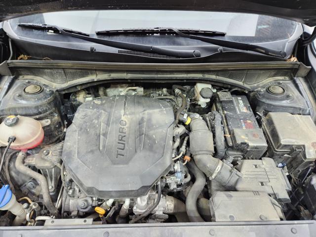 lotterental_173023276_luWII_7.jpg