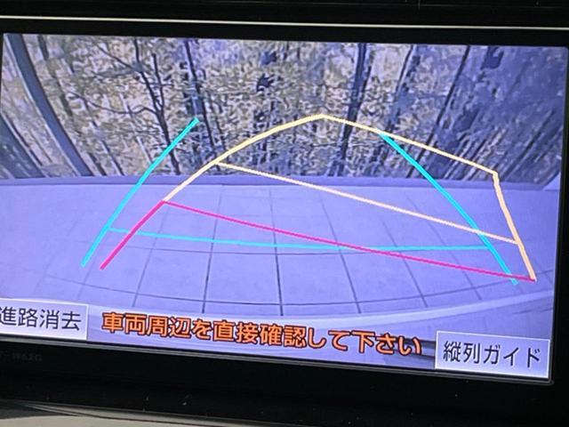 21637721_carP_l_10.jpg