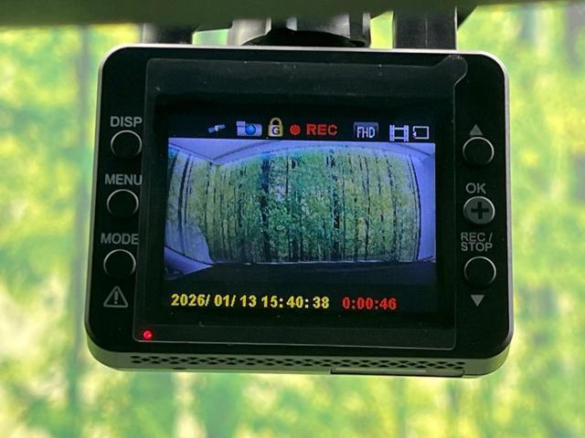 21637721_carP_l_14.jpg