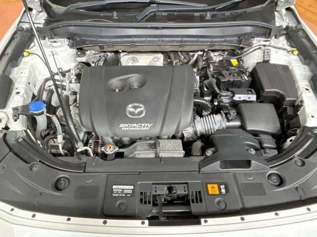 21854574_carP_l_18.jpg