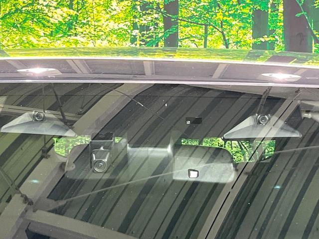 19897999_carP_l_10.jpg