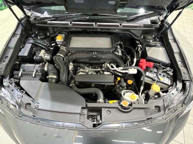 19897999_carP_l_16.jpg