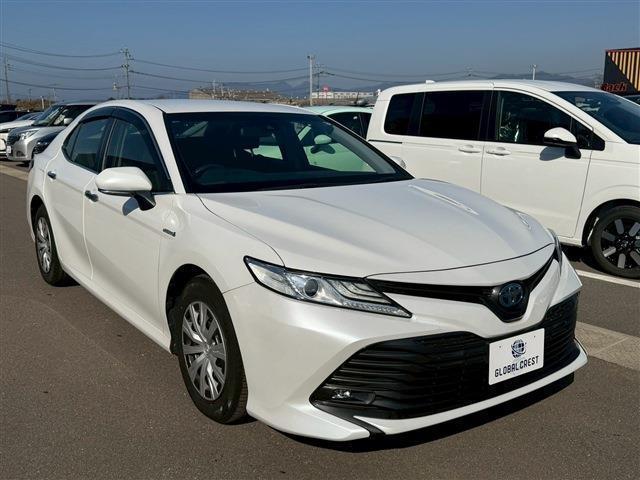 21694806_carP_l_4.jpg