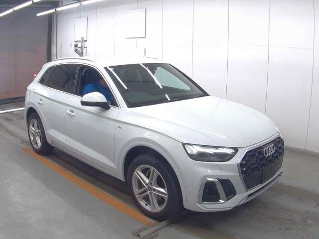 18671847_carP_l_4.jpg