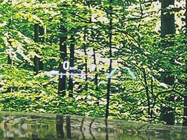 22506254_carP_l_14.jpg