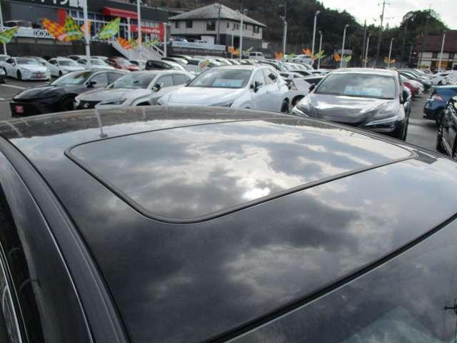 21907268_carP_l_18.jpg