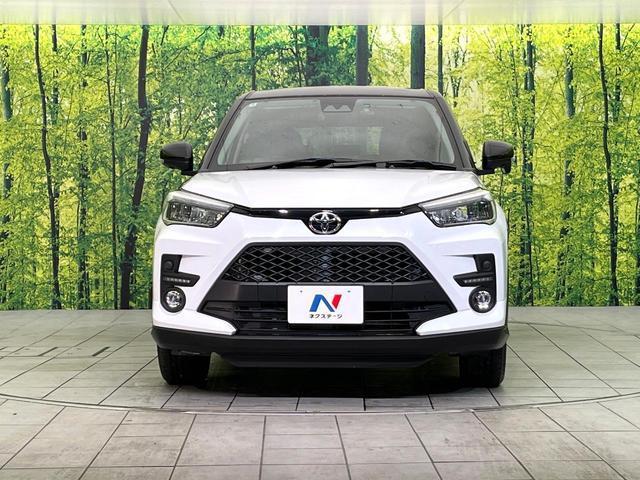 21289634_carP_l_8.jpg
