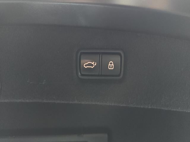 a74951ca08b0800d7de7e4b9a6a92f08.jpeg