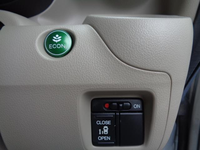 13880480_carP_l_14.jpg