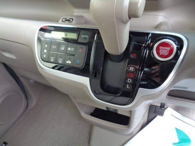 13880480_carP_l_19.jpg