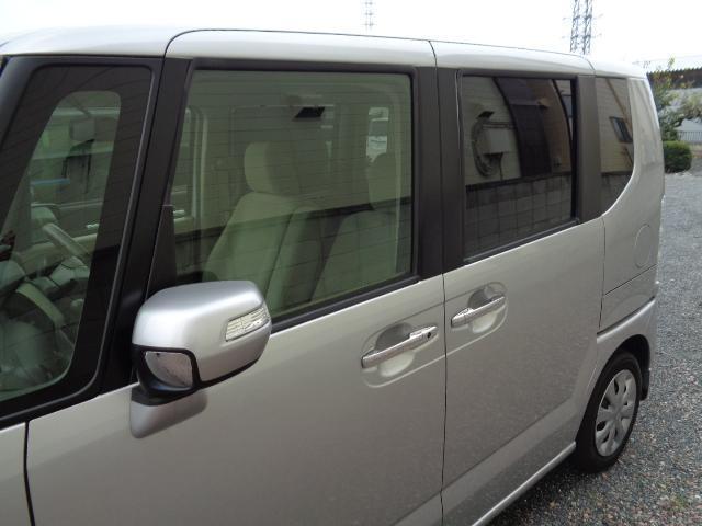 13880480_carP_l_6.jpg
