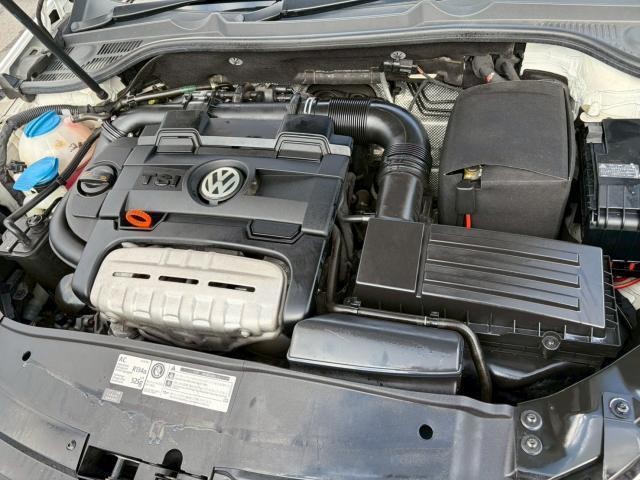 21983713_carP_l_20.jpg