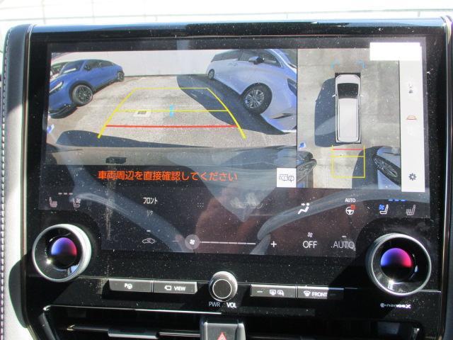 22661055_carP_l_10.jpg