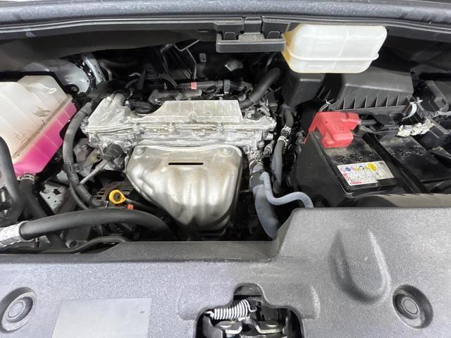 22819611_carP_l_16.jpg