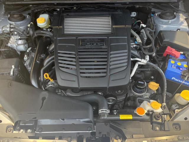 21253637_carP_l_20.jpg