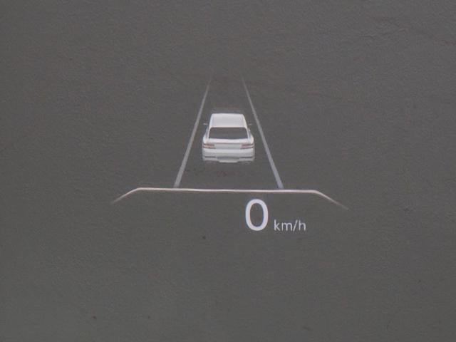 81f7e3a71cccdb04c8e0e41250ec1ce5.jpeg