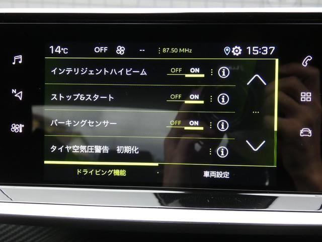 17213322_carP_l_16.jpg