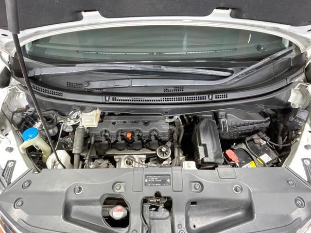 23054899_carP_l_18.jpg