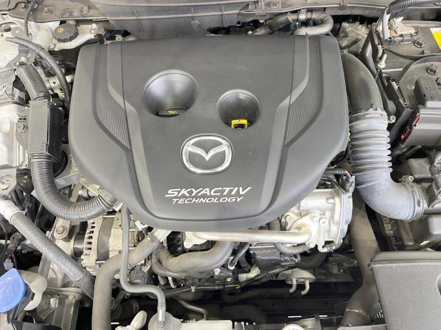 21325270_carP_l_18.jpg