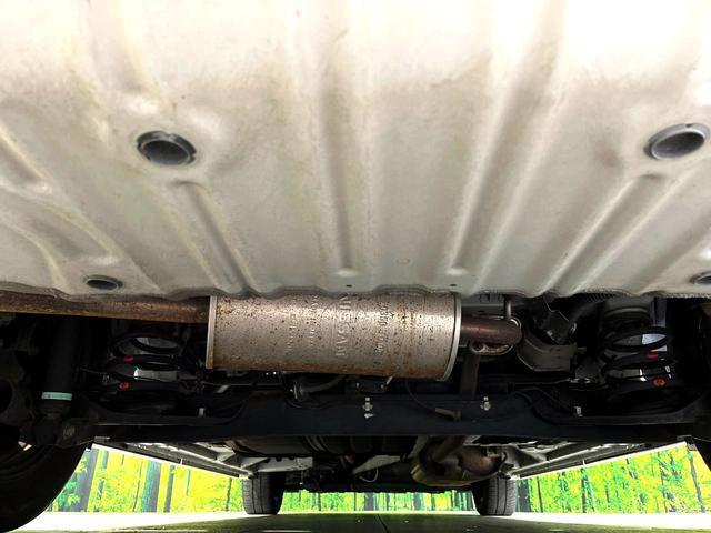 22680730_carP_l_18.jpg