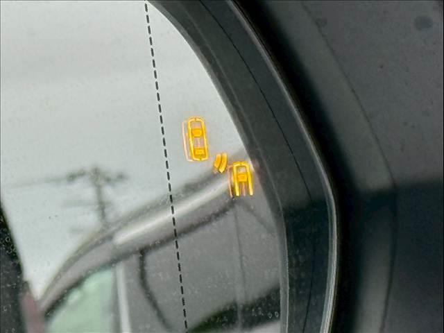 21319997_carP_l_6.jpg