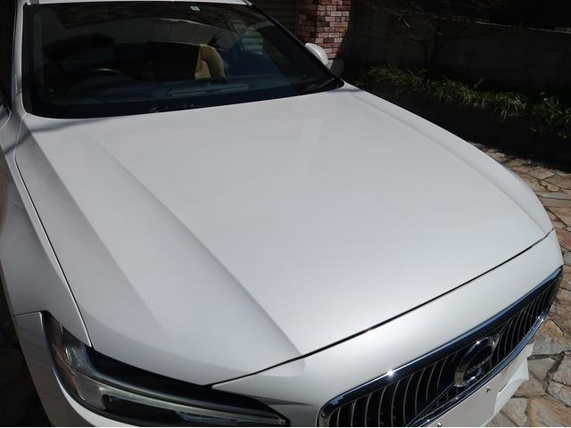 23112680_carP_l_7.jpg