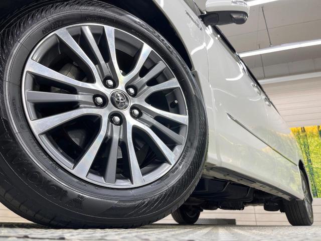 21873776_carP_l_8.jpg