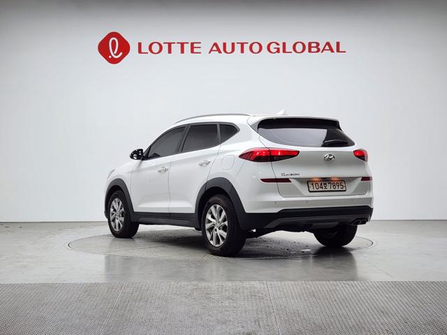 lotterental_150729522_PKShy_2.jpg