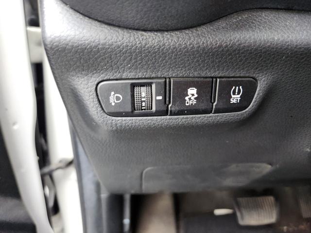 lotterental_151452676_Caqhp_9.jpg